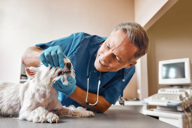 Best Emergency Tooth Extraction in Ponca City, OK